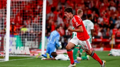António Silva desagradado no deslize do Benfica: "Rio Ave não quis jogar"