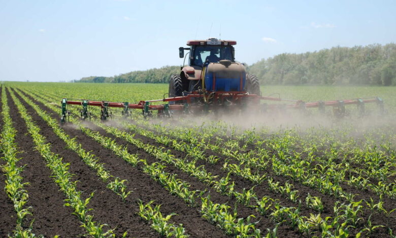 Brasil destaca Nampula como polo promissor para investimentos agrícola