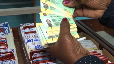 Celebra-se hoje Dia da Identidade