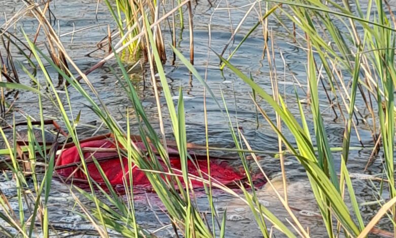 Corpo descoberto a flutuar numa lagoa em Xai-Xai