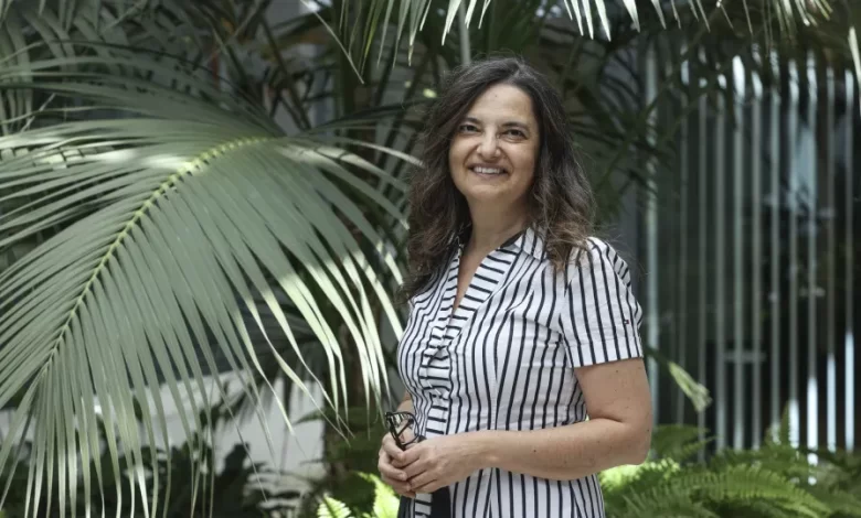 Desinformação? Verificar factos demora muito tempo, diz investigadora