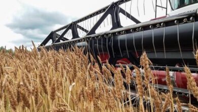 Governo pondera afastar JAMPUR do Complexo Agro-industrial de Chókwè