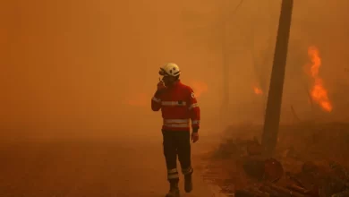 Incêndio em Arganil mobiliza quase 120 operacionais e três meios aéreos