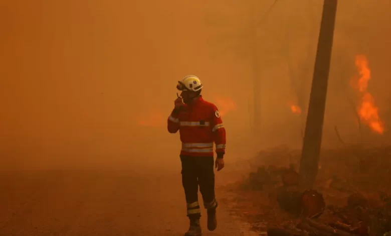 Incêndio em Arganil mobiliza quase 120 operacionais e três meios aéreos