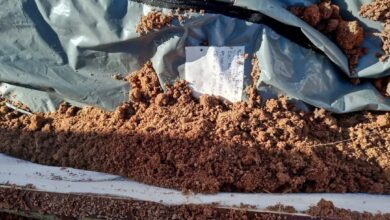 Inhambane: Exumado corpo da anciã enterrada viva pelos filhos