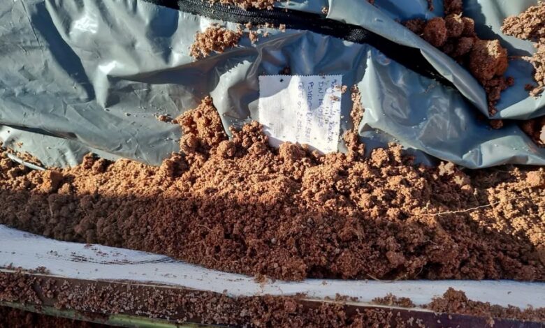 Inhambane: Exumado corpo da anciã enterrada viva pelos filhos