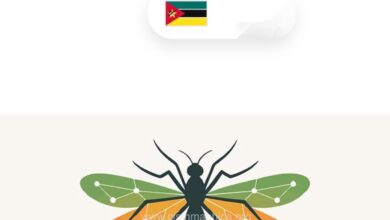 Inteligência Artificial no combate à malária