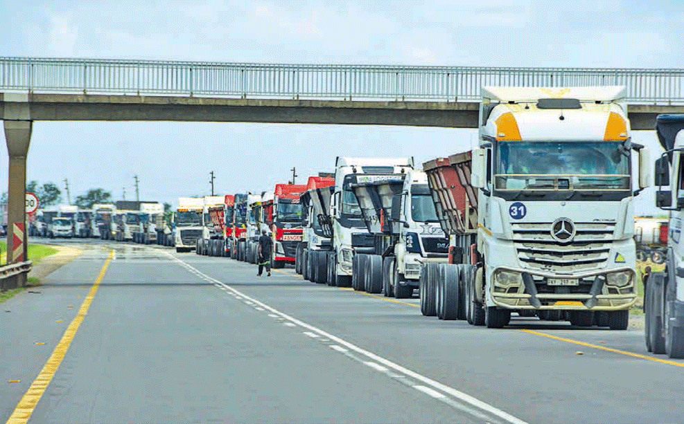 MTL quer transformar sector num pilar de desenvolvimento