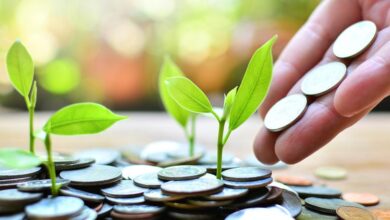 Maputo Província: Empresários pedem maior segurança e mais atracção de investimentos
