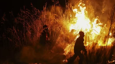 Meios concentrados no combate à reativação no fogo de Aljezur