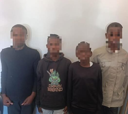 Ministra da Educação alarmada com o caso de violação sexual de aluna adolescente por colegas, na Machava