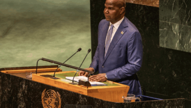 Moçambique apela para reforço do financiamento à transição energética em África 