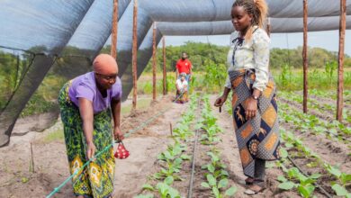 Moçambique e Itália fortalecem parceria no sector agrário