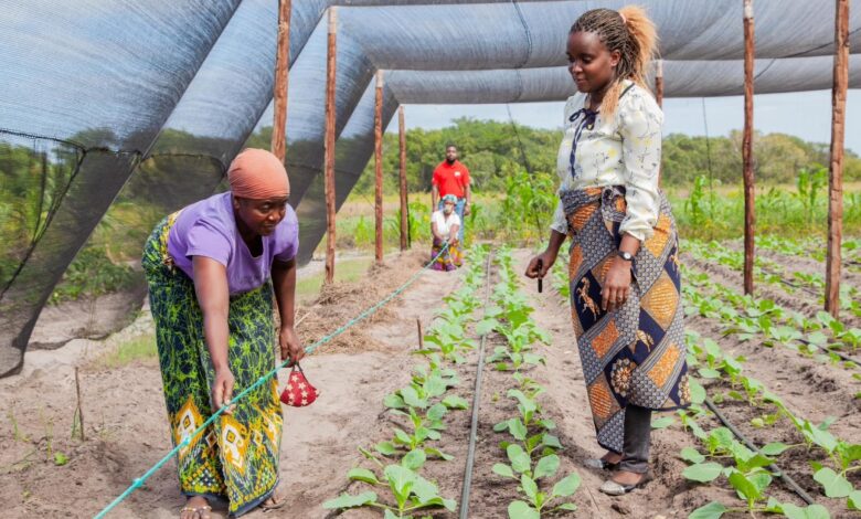 Moçambique e Itália fortalecem parceria no sector agrário