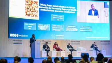 MozParks defende industrialização para promoção do desenvolvimento sustentável e inclusivo