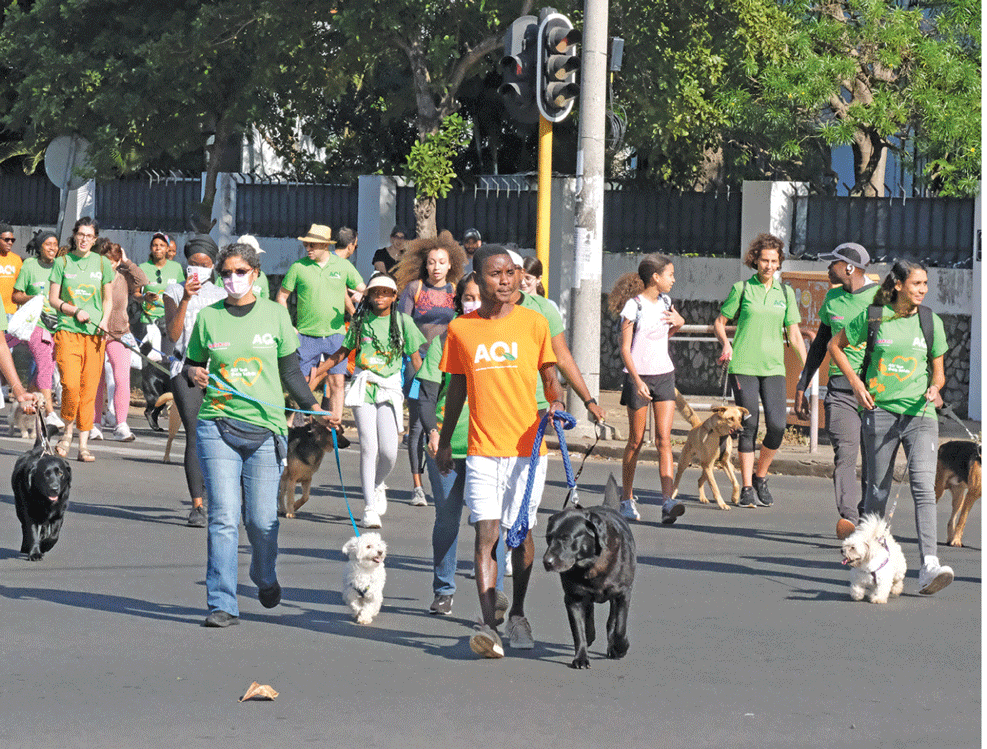 Município de Maputo intensifica combate à raiva