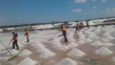 Nampula: Ilha de Moçambique organiza Feira do Sal para dinamizar o sector