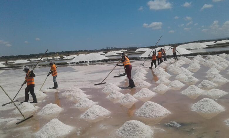 Nampula: Ilha de Moçambique organiza Feira do Sal para dinamizar o sector