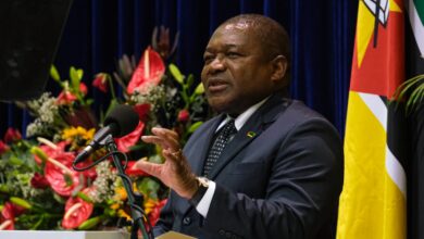 Nyusi encoraja FDS
