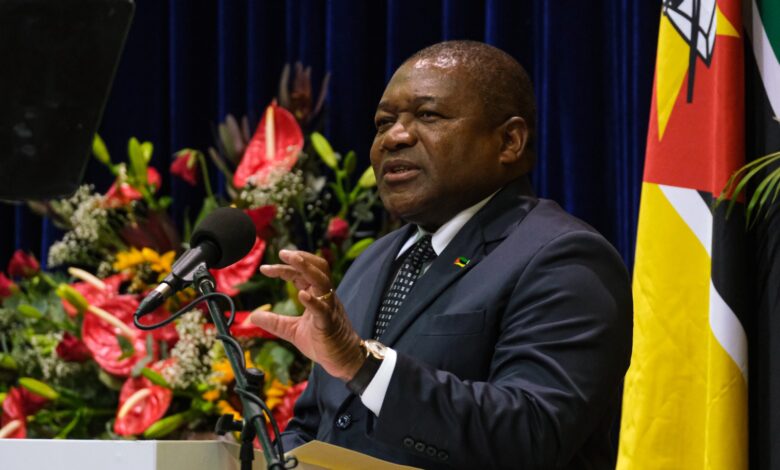 Nyusi encoraja FDS