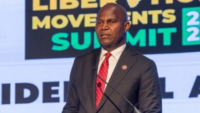 Partidos dos movimentos libertadores da África Austral devem estar atentos aos desafios do cenário político actual- Presidente da Frelimo