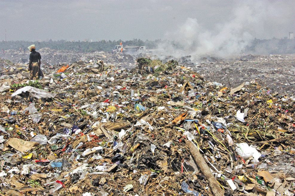 Poluição ambiental já é problema de saúde pública