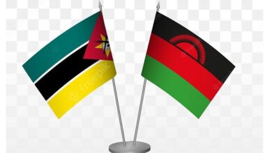   Presidente da Assembleia da República recebe homóloga do Malawi