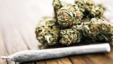  Sofala: Narcotraficantes disfarçados de alunos para vender droga nas escolas