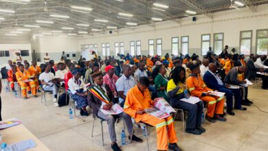 150 jovens beneficiam de bolsas de estudo