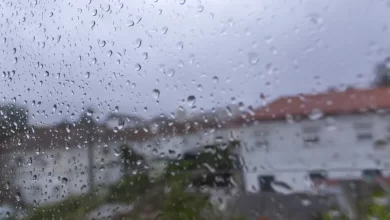 Açores. Lagoa com "danos significativos" mas sem vítimas após mau tempo