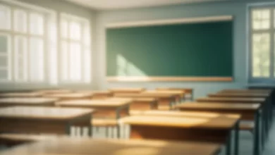 Aumento de burocracia nas escolas? Um em cada três professores queixa-se