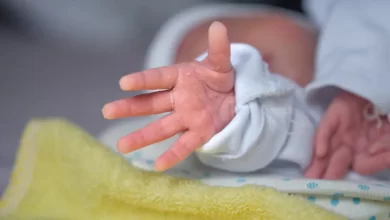 Bebés abandonados enfrentam "abismo social e legal". O que diz a lei?