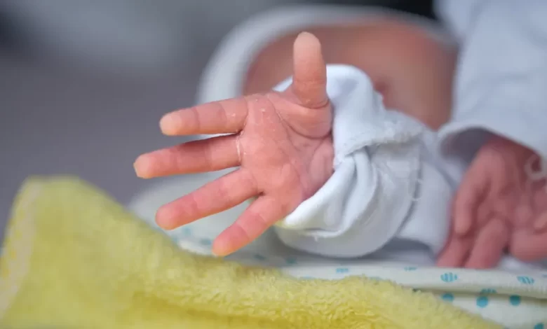 Bebés abandonados enfrentam "abismo social e legal". O que diz a lei?