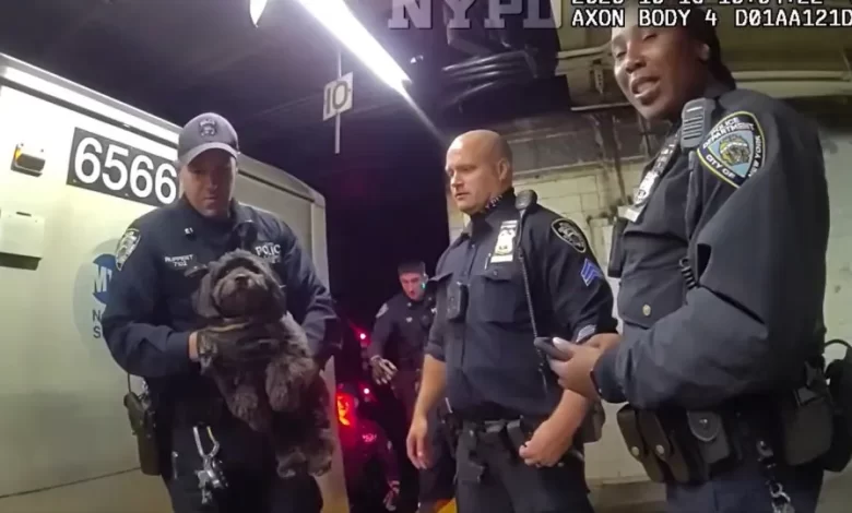 Cachorro escondido por baixo de metro é salvo pela polícia de Nova Iorque