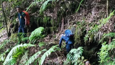 Casal de franceses socorrido na serra da Madeira. Estiveram 18h perdidos