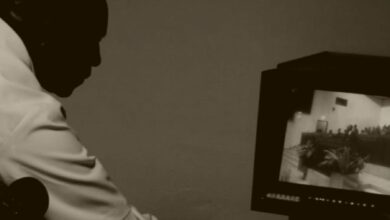 ENCONTROS DO PATRIMÓNIO AUDIOVISUAL: Cinema e memória das independências em destaque