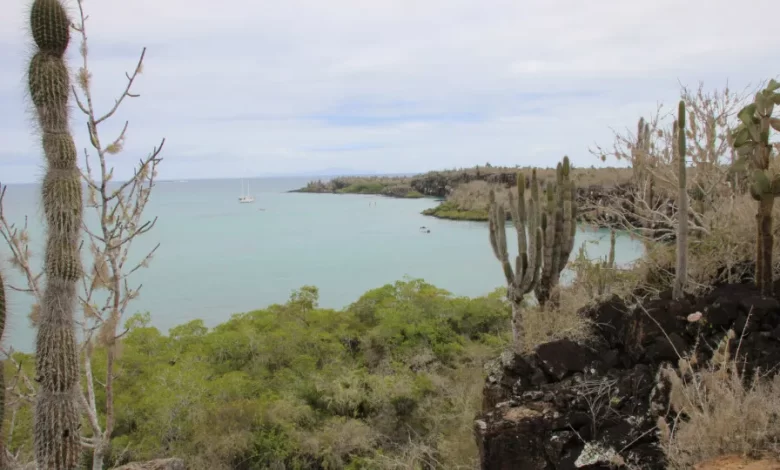 Equador descarta Galápagos para albergar nova base militar dos EUA