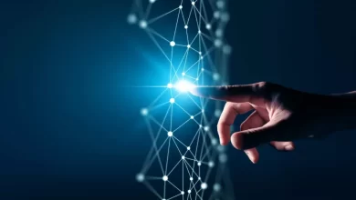 Estónia afirma que Portugal está no "caminho certo" para a digitalização