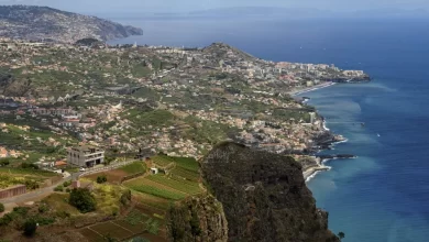Eurodeputados avaliam ofeta de habitação e ameaça de incêndios na Madeira