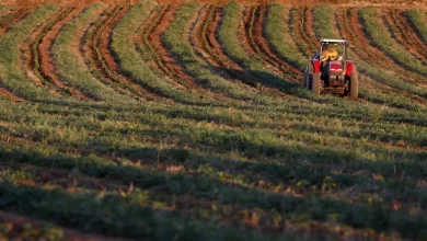 Eurodeputados portugueses integram missão de Agricultura do PE ao Brasil