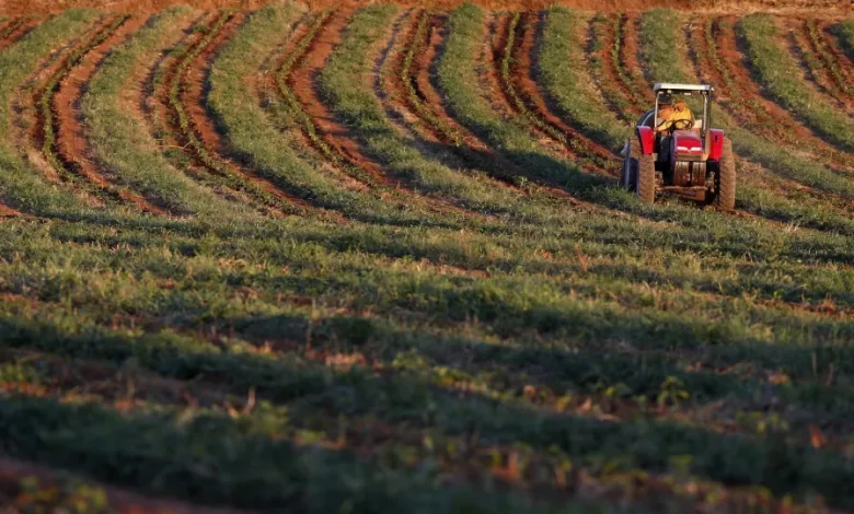 Eurodeputados portugueses integram missão de Agricultura do PE ao Brasil