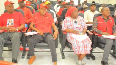 Frelimo denuncia violência política contra seus membros em Nampula