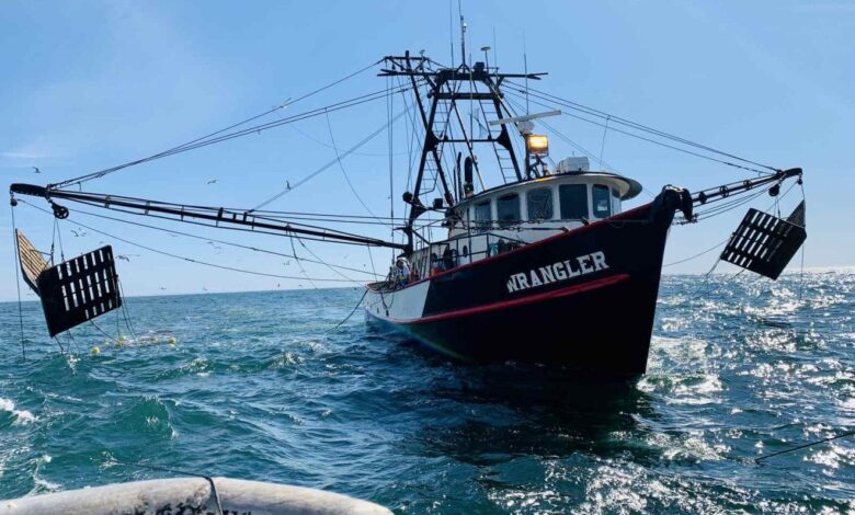 Governo anuncia período de veda para pesca do camarão de superfície, caranguejo e polvo