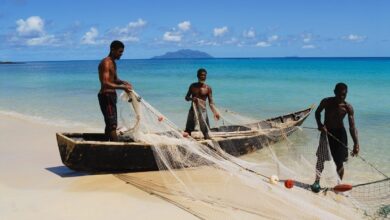 Governo anuncia períodos de veda na pesca