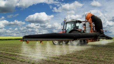 Governo lança hoje financiamento para agro-negócio avaliado em 45,5 milhões de euros