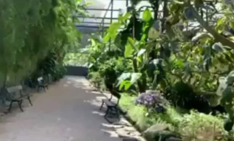 Hora mudou! Parques e jardins com 'novos horários' em Lisboa: Fique a par