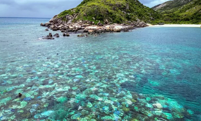 Idosa encontrada morta após ser deixada por cruzeiro em ilha australiana