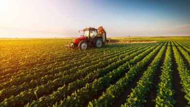 Lançado amanhã financiamento para agro-negócio