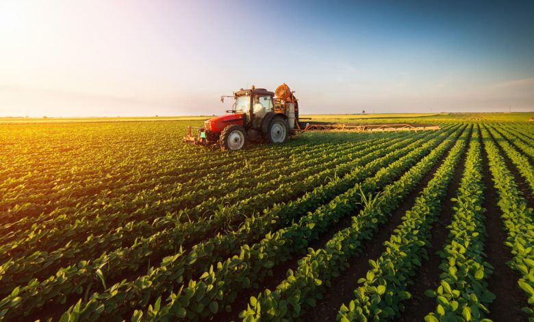 Lançado amanhã financiamento para agro-negócio