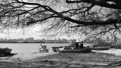 Livro sobre percurso do cinema em Moçambique é apresentado hoje em Maputo